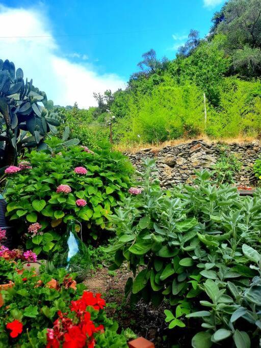 Il Limoneto Dei Cinque Sensi,Apartment With Garden Вернацца Экстерьер фото