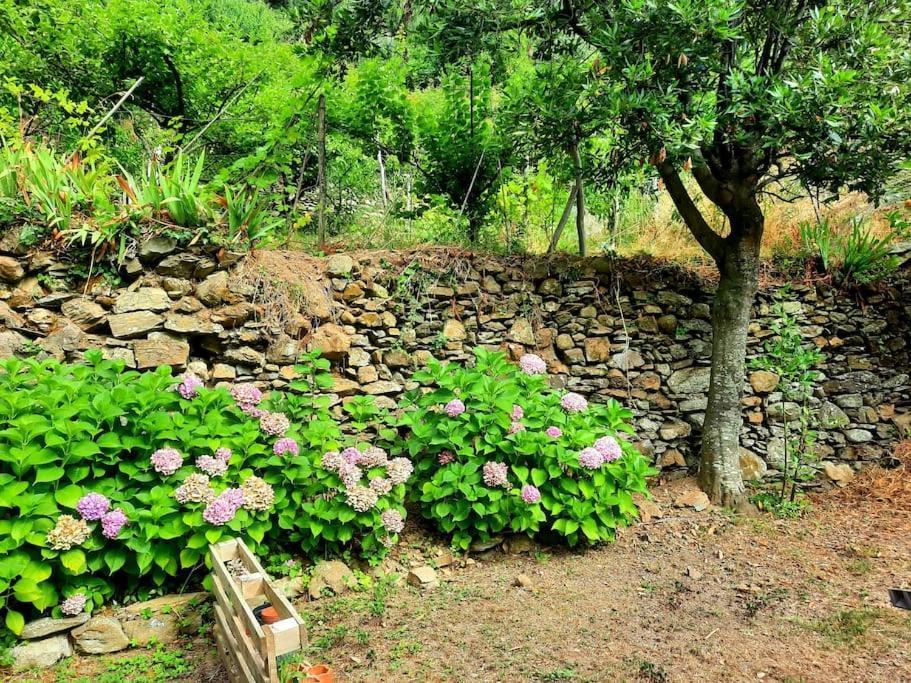 Il Limoneto Dei Cinque Sensi,Apartment With Garden Вернацца Экстерьер фото