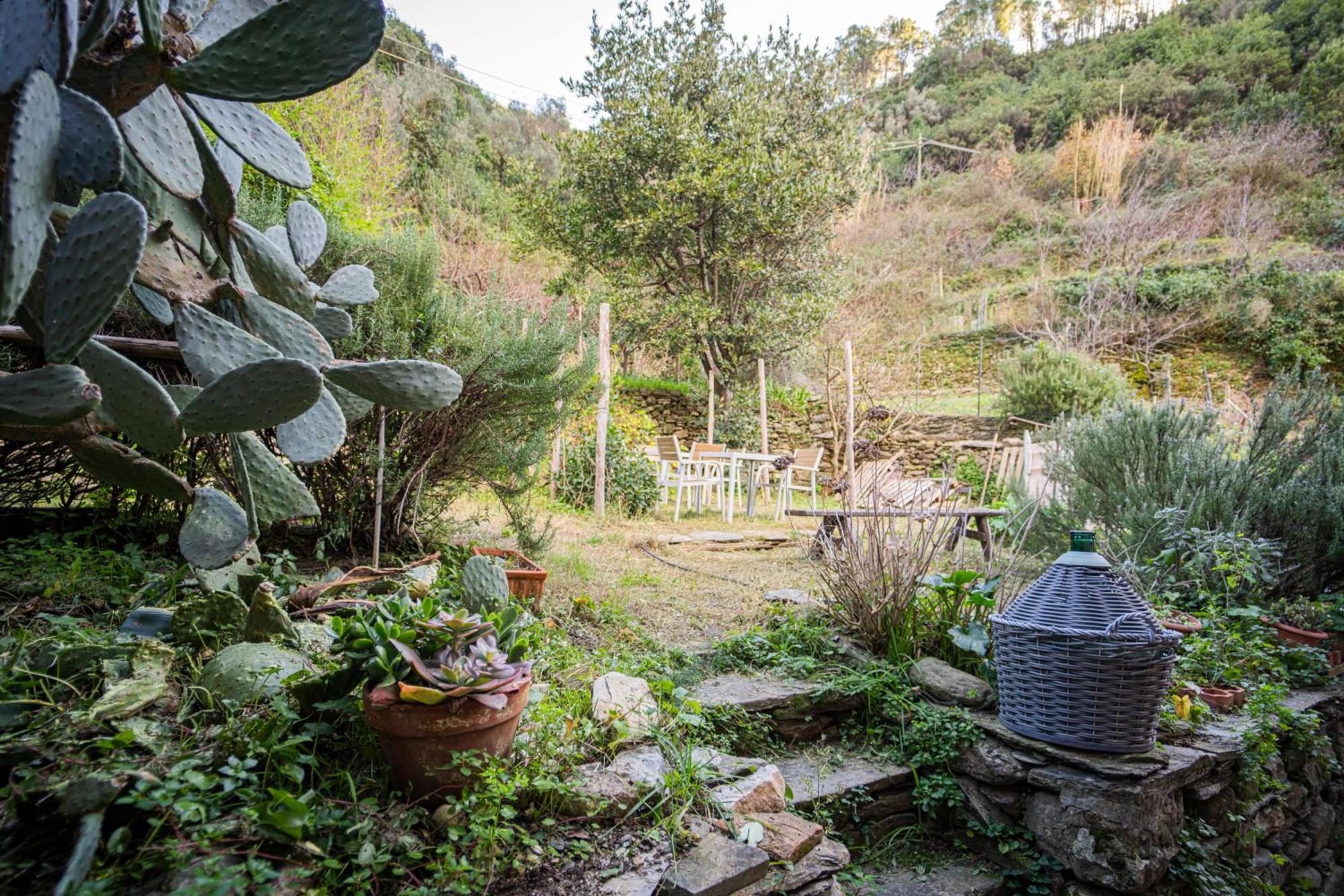 Il Limoneto Dei Cinque Sensi,Apartment With Garden Вернацца Экстерьер фото